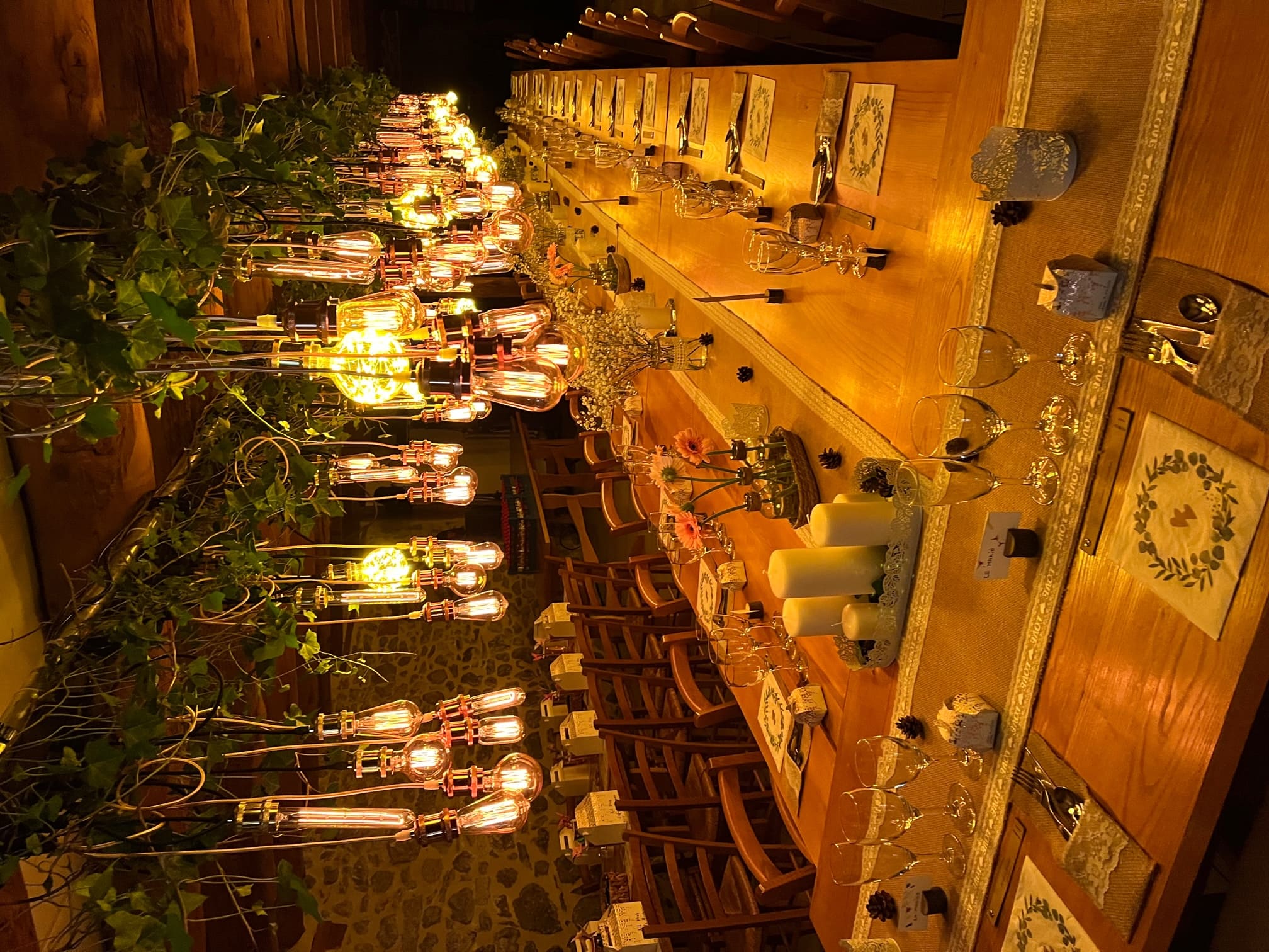 Photo de suspension lumineuse au Domaine du Lac des Estives