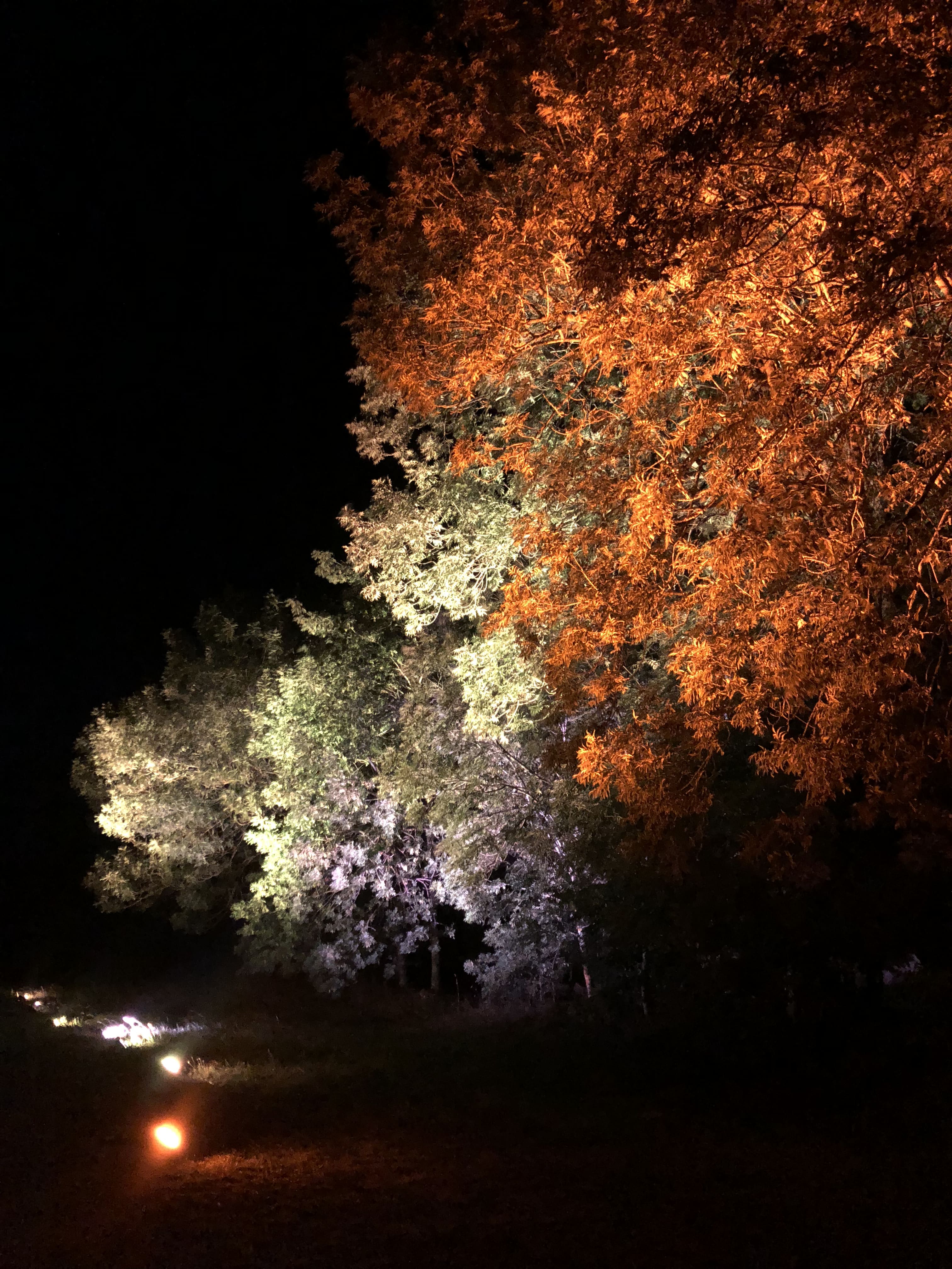 Photo d'un éclairage au Domaine du Lac des Estives